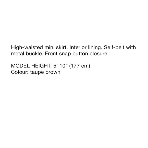 NWT ZARA BELTED REAL LEATHER SKIRT - Picture 6 of 8